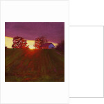 Between Trees, 2013 by Helen White