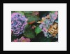 Hydrangeas, 2018 by Helen White