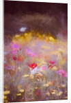 Meadow, 2018 by Helen White