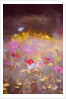 Meadow, 2018 by Helen White