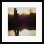 Violet Haze, 2018 by Helen White