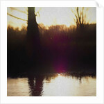 Violet Haze, 2018 by Helen White