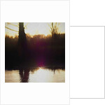 Violet Haze, 2018 by Helen White