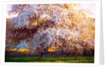 Evening Blossom, 2018 by Helen White