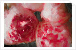 Pink Peonies, 2018 by Helen White