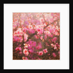 Spring Sprung; 2018 by Helen White