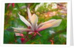 Magnolia, 2018 by Helen White