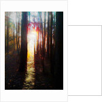 The Arrival, 2019 by Helen White