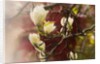 Magnolia, 2018 by Helen White