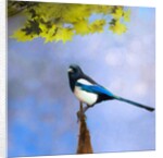 Balance Keeper, 2019 by Helen White