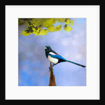 Balance Keeper, 2019 by Helen White