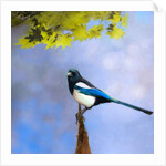 Balance Keeper, 2019 by Helen White