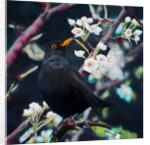 Lord of the Summer Song, 2019 by Helen White