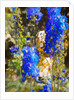 Blue Delphiniums, 2019 by Helen White