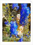 Blue Delphiniums, 2019 by Helen White