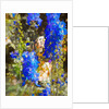 Blue Delphiniums, 2019 by Helen White