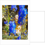 Blue Delphiniums, 2019 by Helen White
