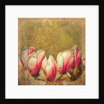 Vintage Magnolia; 2019 by Helen White