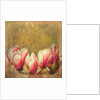 Vintage Magnolia; 2019 by Helen White