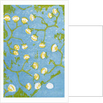 Fluffy Seedheads, 2012 by Bella Larsson