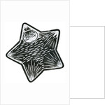 Star Child, 2013 by Bella Larsson