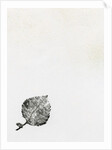 Leaf {Fay-erie Dust}, 2014 by Bella Larsson