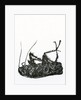 Dead Cockroach, 2014, by Bella Larsson