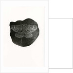 Night Butterfly, 2016 by Bella Larsson