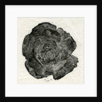 Pine Rose, 2014 by Bella Larsson