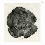 Pine Rose, 2014 by Bella Larsson