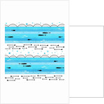 Fishes in the sea, 2014 by Laurence Lavallee