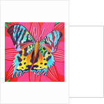 Sunset Moth, 2014 by Jane Tattersfield