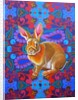 Rabbit, 2014 by Jane Tattersfield