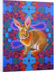 Rabbit, 2014 by Jane Tattersfield