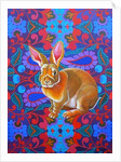 Rabbit, 2014 by Jane Tattersfield