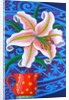 Lily, 2014 by Jane Tattersfield