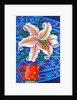 Lily, 2014 by Jane Tattersfield