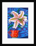 Lily, 2014 by Jane Tattersfield