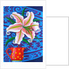 Lily, 2014 by Jane Tattersfield