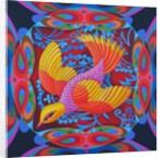 Firey-tailed flier, 2012 by Jane Tattersfield