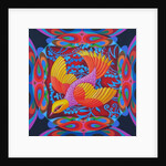 Firey-tailed flier, 2012 by Jane Tattersfield