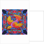 Firey-tailed flier, 2012 by Jane Tattersfield