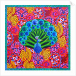 Peacock and pattern, 2015 by Jane Tattersfield