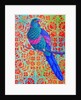 Blue Parrot, 2015 by Jane Tattersfield