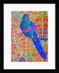 Blue Parrot, 2015 by Jane Tattersfield