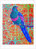 Blue Parrot, 2015 by Jane Tattersfield
