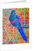 Blue Parrot, 2015 by Jane Tattersfield