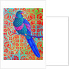 Blue Parrot, 2015 by Jane Tattersfield