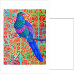 Blue Parrot, 2015 by Jane Tattersfield