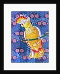 Cockatoo, 2016 by Jane Tattersfield